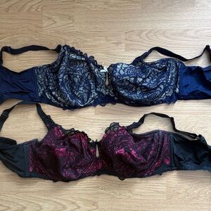 Deesse Lingerie Lace Underwire Bras - Navy and Pink